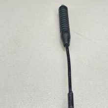 آنتن زانتیایی